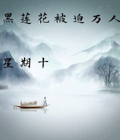 黑莲花被迫万人迷[快穿]