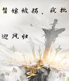 替嫁被拐，疯批太子带着我杀疯了