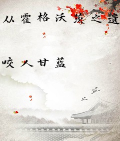 从霍格沃茨之遗归来的哈利