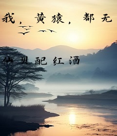 我，黄猿，都无敌了才来聊天群