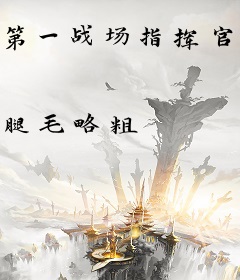 第一战场指挥官！