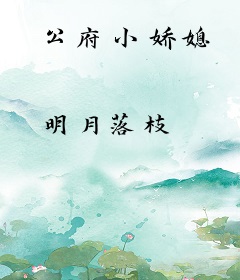 公府小娇媳