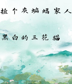 捡个灰蝙蝠家人们[综英美]