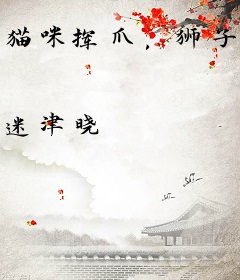 猫咪挥爪，狮子低头