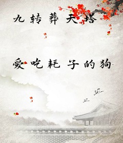 九转葬天塔