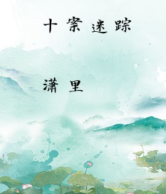 十案迷踪