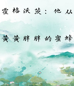 霍格沃茨：他从童话来
