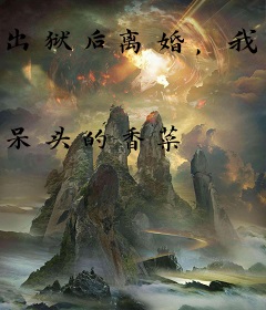 出狱后离婚，我成医圣你后悔什么