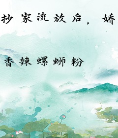 抄家流放后，娇俏娘子要造反