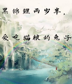 黑锦鲤两岁半，全皇朝宠疯了