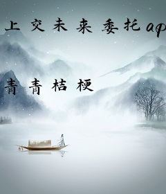 上交未来委托app，我带飞祖国