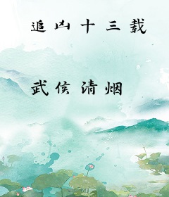 追凶十三载