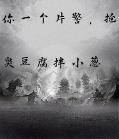 你一个片警，抢刑警的活合适吗？