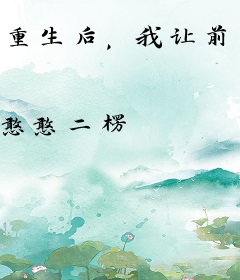 重生后，我让前夫跪断腿