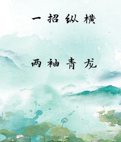 一招纵横