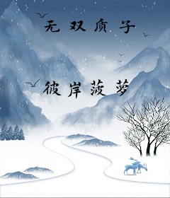 无双质子