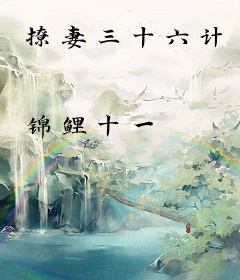 撩妻三十六计