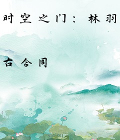 时空之门：林羽的古代奇缘
