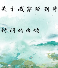 关于我穿越到异世界这档子事儿