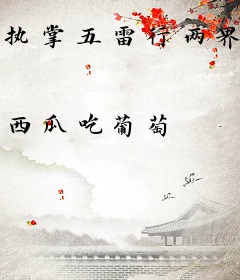 执掌五雷行两界