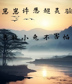 崽崽许愿超灵验，就是有点缺心眼