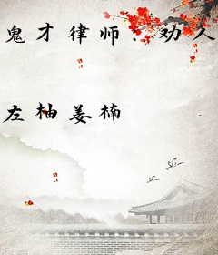鬼才律师：劝人自首还被送锦旗？