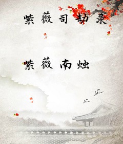 紫薇司劫录