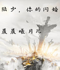 陆少，你的闪婚妻子又跑路了