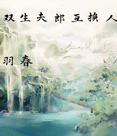 双生夫郎互换人生后