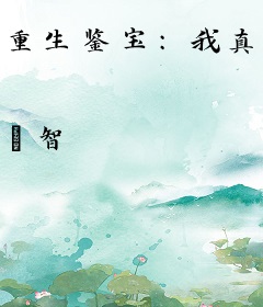 重生鉴宝：我真没想当专家