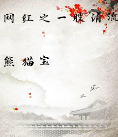 网红之一股清流