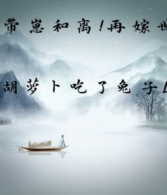 带崽和离！再嫁世子她宠冠全京城