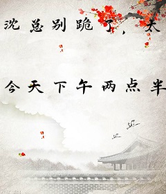 沈总别跪了，太太嫁给你死对头了