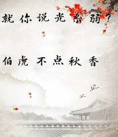 就你说光系弱？吃我一记八分光轮！