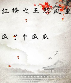 红楼之王熙凤重生