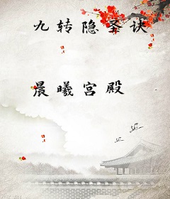 九转隐圣诀