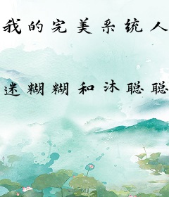 我的完美系统人生