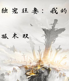 独宠狂妻：我的特种兵老婆