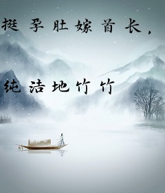 挺孕肚嫁首长，七零美人名动京圈