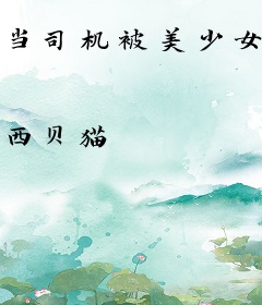当司机被美少女缠上