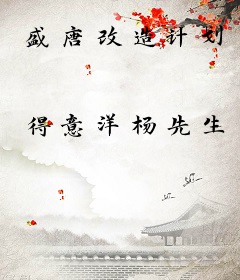 盛唐改造计划