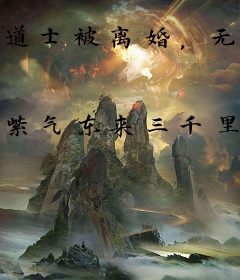 道士被离婚，无数女神来撩我