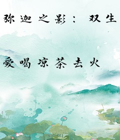 弥迦之影：双生屠城者