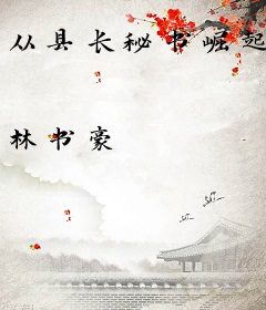 从县长秘书崛起