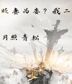 贬妻为妾？我二嫁权臣联手虐渣