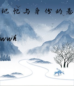 记忆与身份的悬疑迷宫