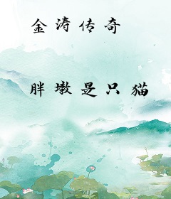 金涛传奇