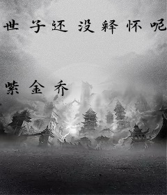 世子还没释怀呢，太子妃都显怀了