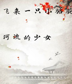 飞来一只小骆驼