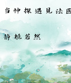 当神探遇见法医